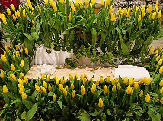 Wigilia Paschalna, Garczegorze 30 marca 2024 r., 22.00.