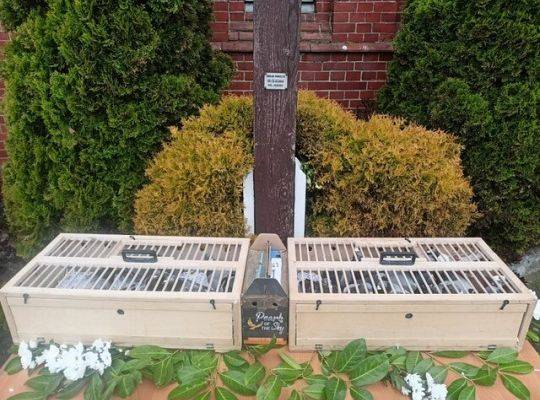 Bierzmowanie 10 maja 2024 r. Garczegorze