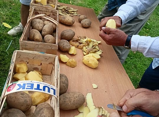 Dożynki Parafialne, Garczegorze 25 sierpnia 2024 roku